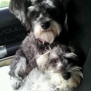 Meet your Posher, Helene